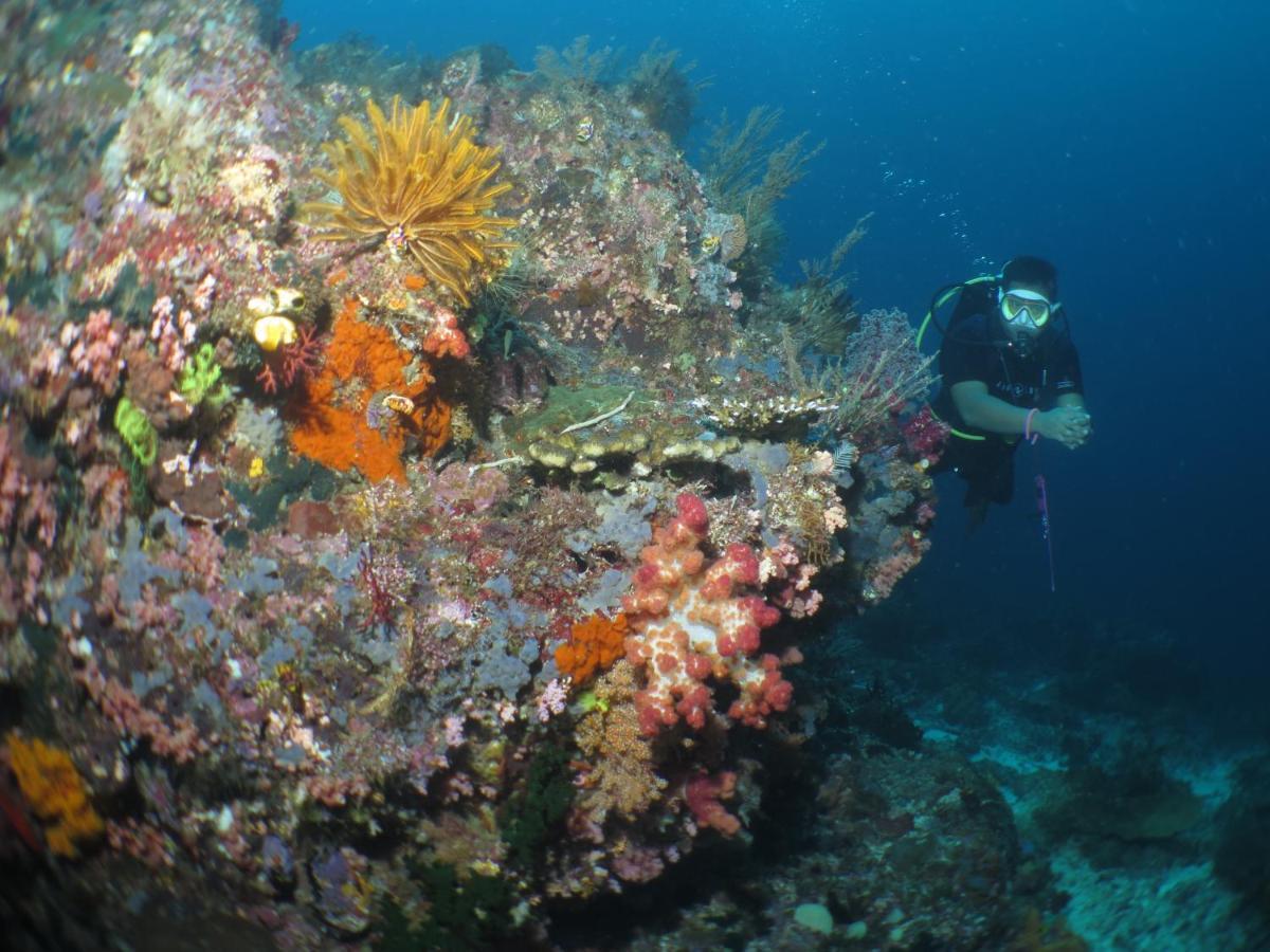Hamueco Dive Resort Raja Ampat Rabia Exterior foto